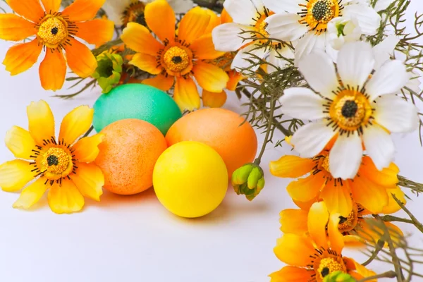 Барвисті великодні яйця і квіти — стокове фото