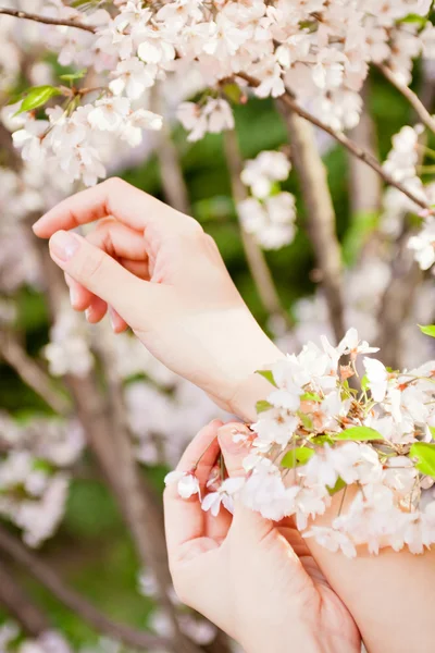 Woman's hands on flower background — Stock Photo, Image