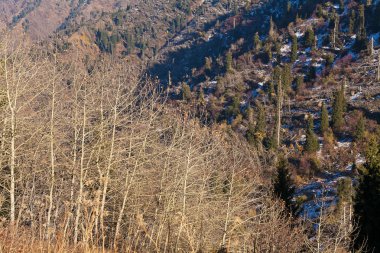 sonbahar aylarında Kazakistan dağlar