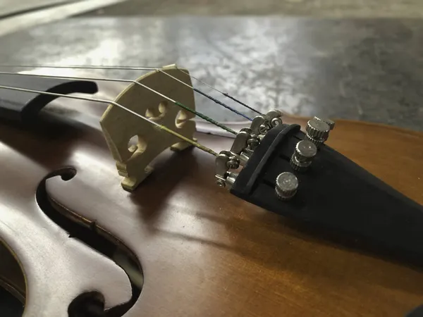 Close Viool Tonen Snaren Detail Van Akoestisch Instrument Wazig Licht — Stockfoto
