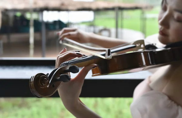 Размытый Палец Нажимая Струны Скрипки Показать Играть Акустическом Инструменте Размытый — стоковое фото