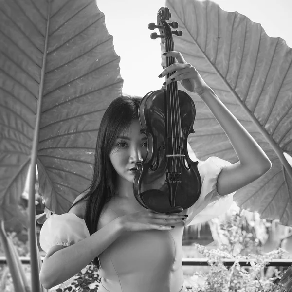 Violino Foi Levantado Por Mãos Mulher Modelo Posando Tom Preto — Fotografia de Stock