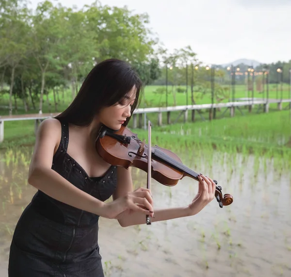 Красивая Женщина Играющая Скрипке Позирующая Модель Размытый Свет — стоковое фото