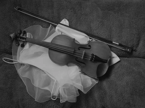 Violín Con Lazo Puesto Vestido Satinado Instrumento Acústico Tono Blanco —  Fotos de Stock