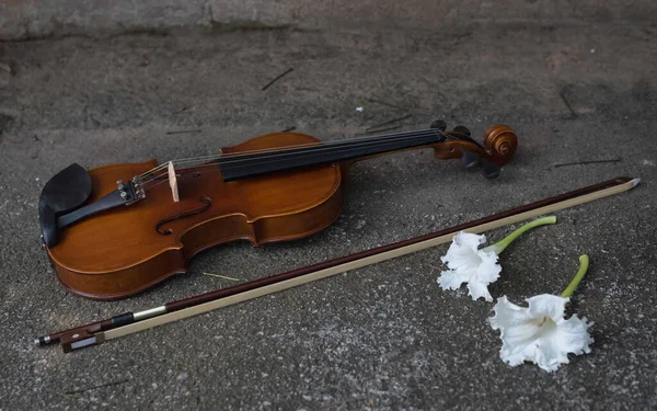Violin Bow Put Grunge Surface Ground Floor Blurred White Flower — Stock Photo, Image
