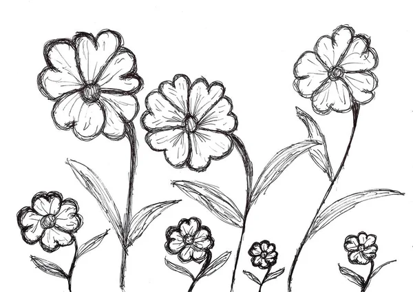 Ręczny Rysunek Ośmiu Kwiatów Liśćmi Czarny Tusz Białym Papierze — Zdjęcie stockowe