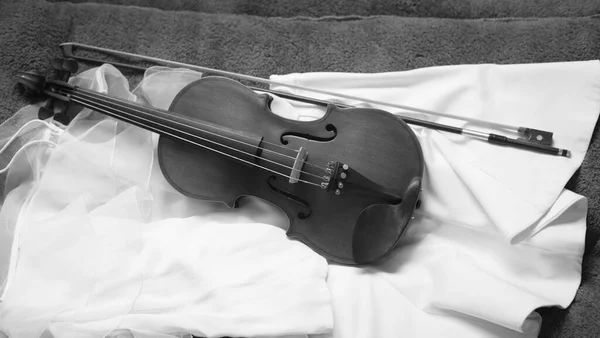 Violino Messo Sullo Sfondo Strumento Acustico Tono Bianco Nero Luce — Foto Stock
