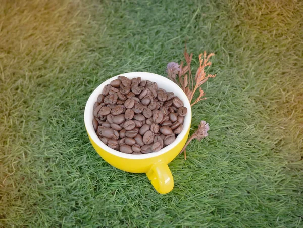 Yellow Coffee Cup Roasted Aroma Beans Put Green Grass Background — Stock Photo, Image