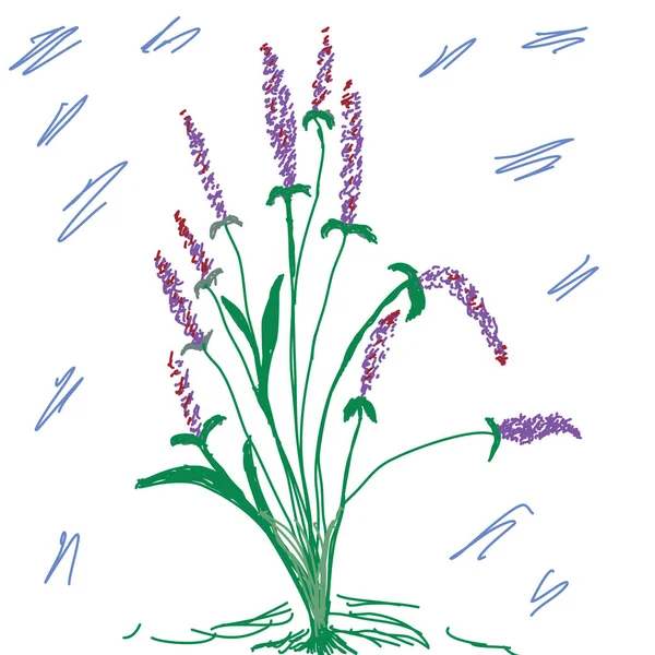 Purple Flower Green Leaves Hand Drawing — Φωτογραφία Αρχείου
