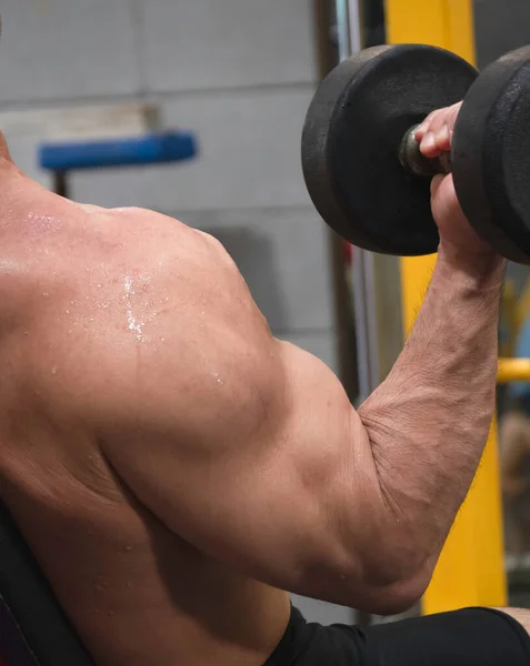 Fit Firm Hand Sweat Tendon Lifting Dumbbell Showing How Exercise — Stock fotografie