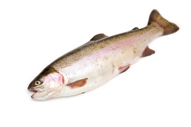 Whole rainbow trout (Oncorhynchus mykiss) fish clipart