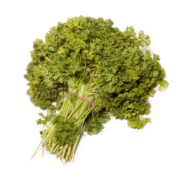 Large bunch of parsley — Stock Photo, Image