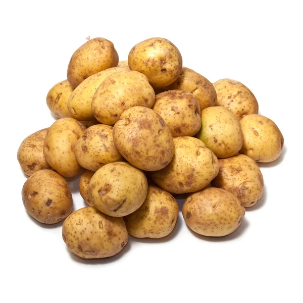 Weiße Kartoffeln — Stockfoto