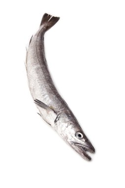 Avrupa hake balık-merluccius