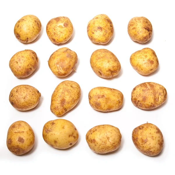 Białe ziemniaki — Zdjęcie stockowe