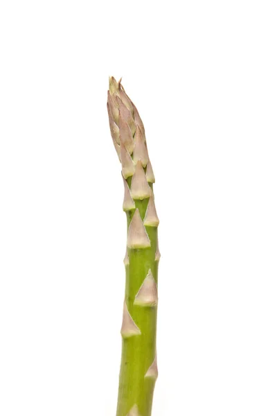 Asparagi isolati su sfondo bianco . — Foto Stock