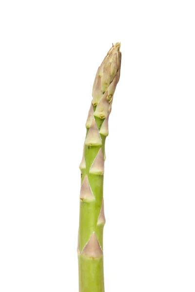 Asparagus isolated on a white studio background. — Stock Photo, Image