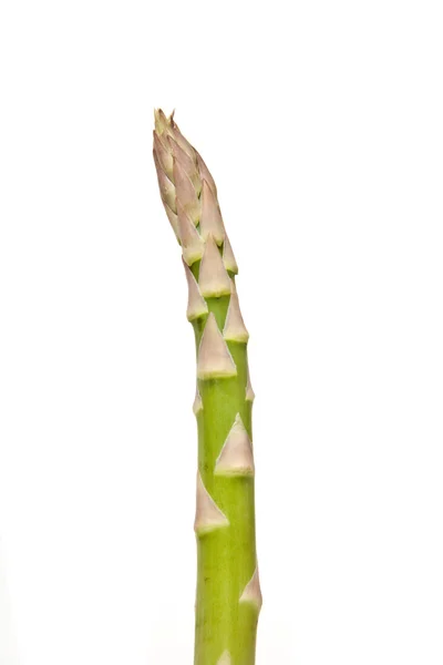 Asparagus isolated on a white studio background. — Stock Photo, Image