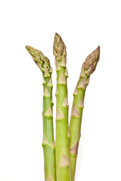 Asperges isolées sur fond de studio blanc . — Photo