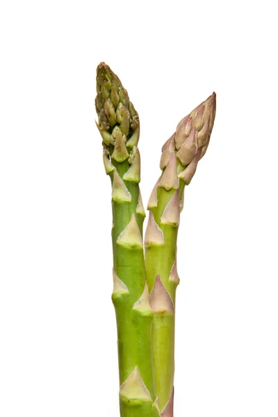 Asperges isolées sur fond de studio blanc . — Photo