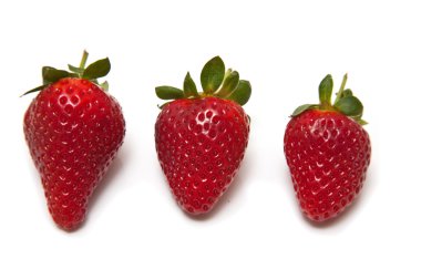 çilek beyaz stüdyo özgeçmişlerine izole.