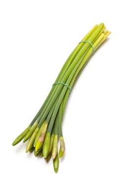 buket veya demet nergis