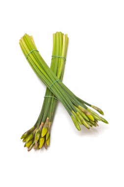 buket veya demet nergis