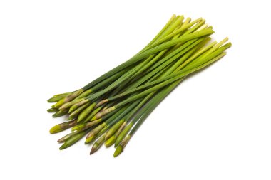 buket veya demet nergis