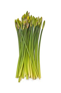 buket veya demet nergis