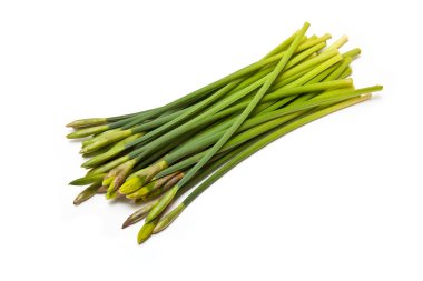 buket veya demet nergis