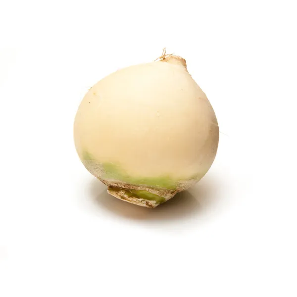 Turnip isolated on a white studio background. — Stock Photo, Image