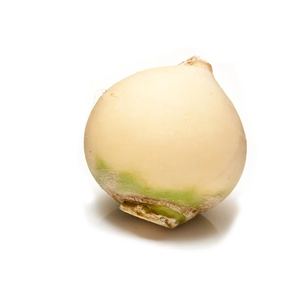 Turnip isolated on a white studio background. — Stock Photo, Image