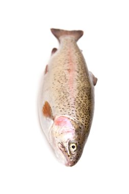 Bütün Gökkuşağı alabalığı (Oncorhynchus mykiss) Balık