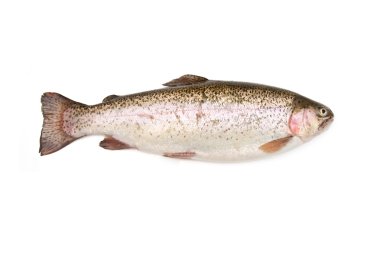 Bütün Gökkuşağı alabalığı (Oncorhynchus mykiss) Balık
