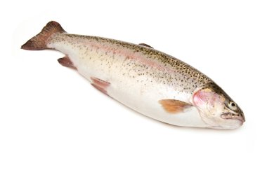Bütün Gökkuşağı alabalığı (Oncorhynchus mykiss) Balık