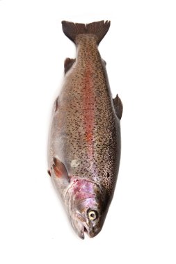 Bütün Gökkuşağı alabalığı (Oncorhynchus mykiss) Balık