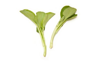 Choi toplamı yaprakları