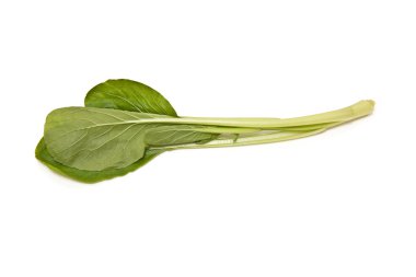 Choi toplamı yaprakları