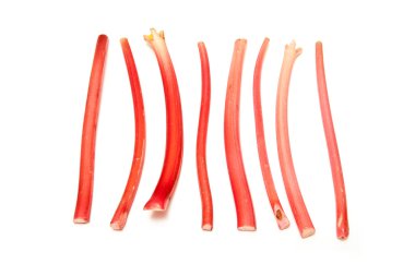 ravent sopa veya SAP pişmemiş