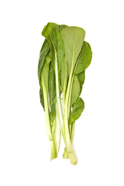 Choi Sum blade - Stock-foto