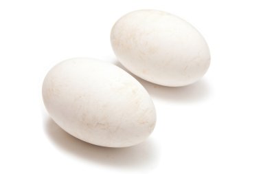 kaz yumurtaları