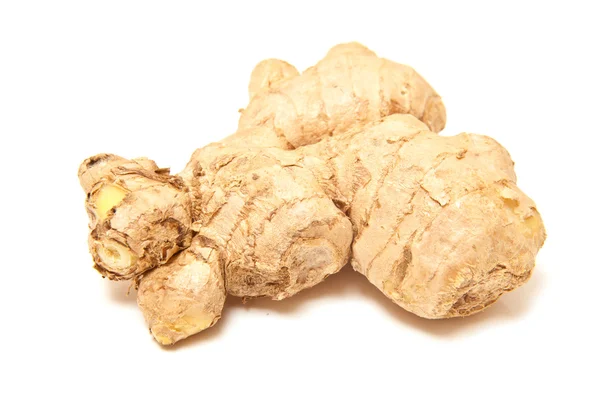 Ginger root — Stock Photo, Image