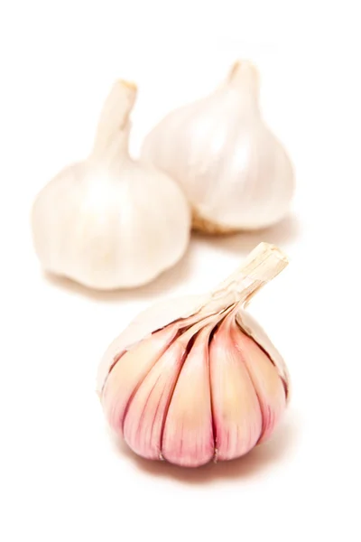 Lampadine all'aglio rosa o rosa — Foto Stock