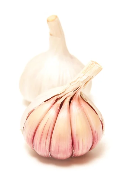 Rose or pink garlic bulbs — Stock Photo, Image