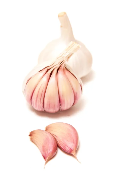 Lampadine all'aglio rosa o rosa — Foto Stock