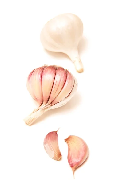 French pink or rose garlic — Stock Photo, Image
