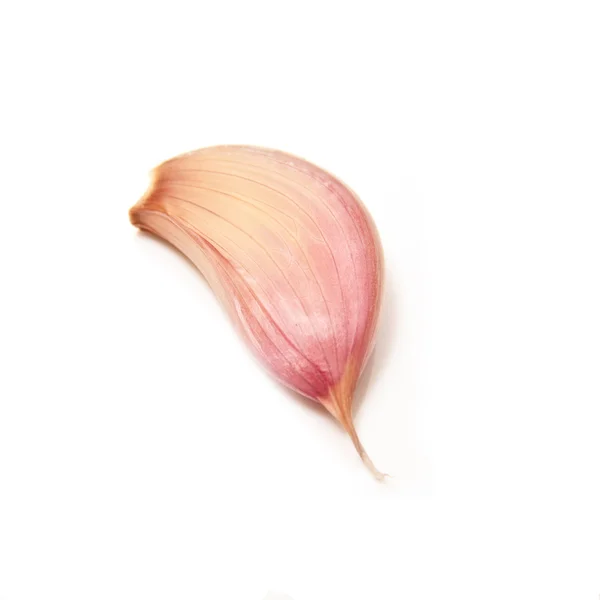 Французский розовый или розовый чеснок — стоковое фото