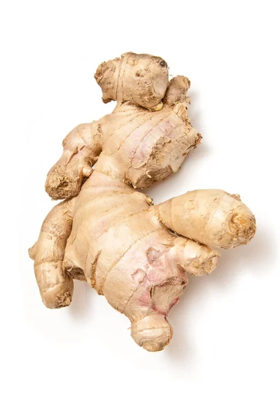 Root Ginger — Stock Photo, Image