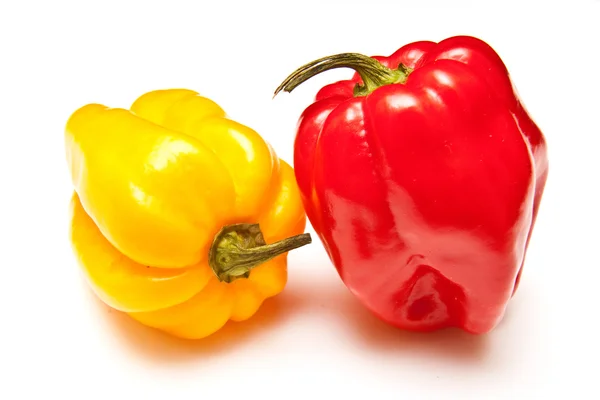 Scotch bonnet chilli pepper — Stock Photo, Image