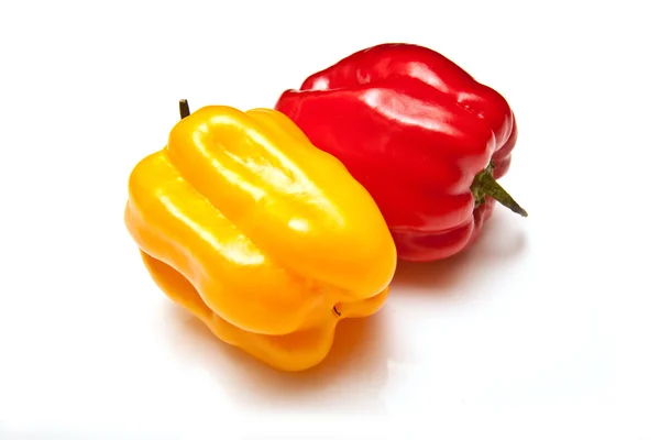 Scotch bonnet chilli pepper — Stock Photo, Image